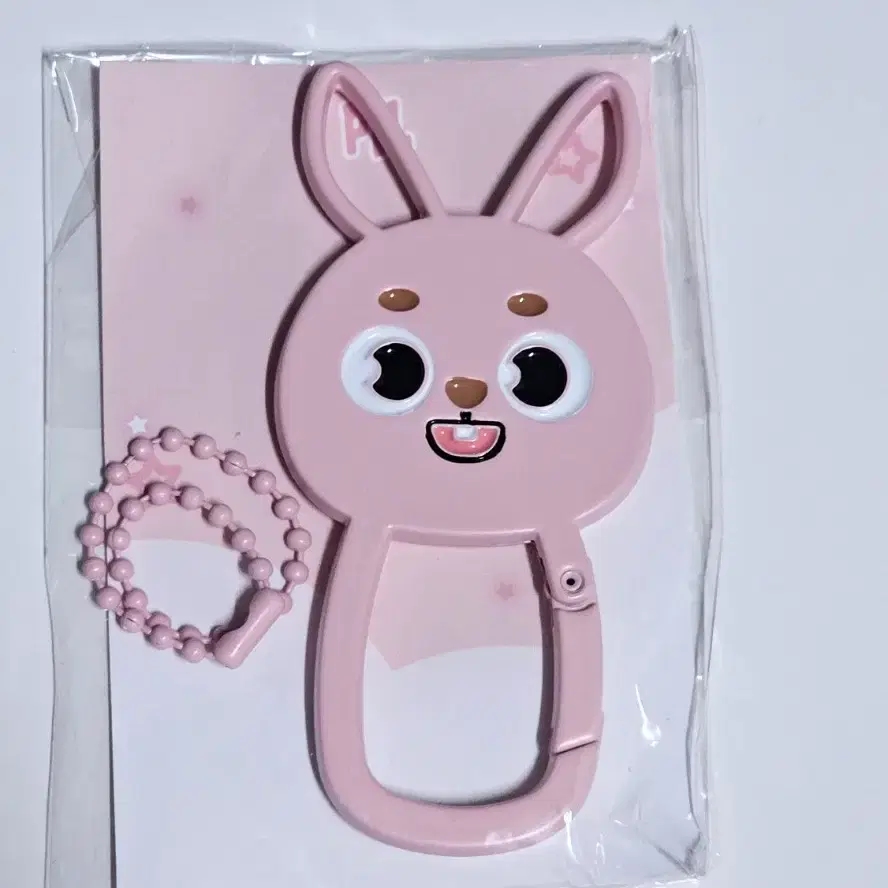 데이식스 데니멀즈 카라비너 원필