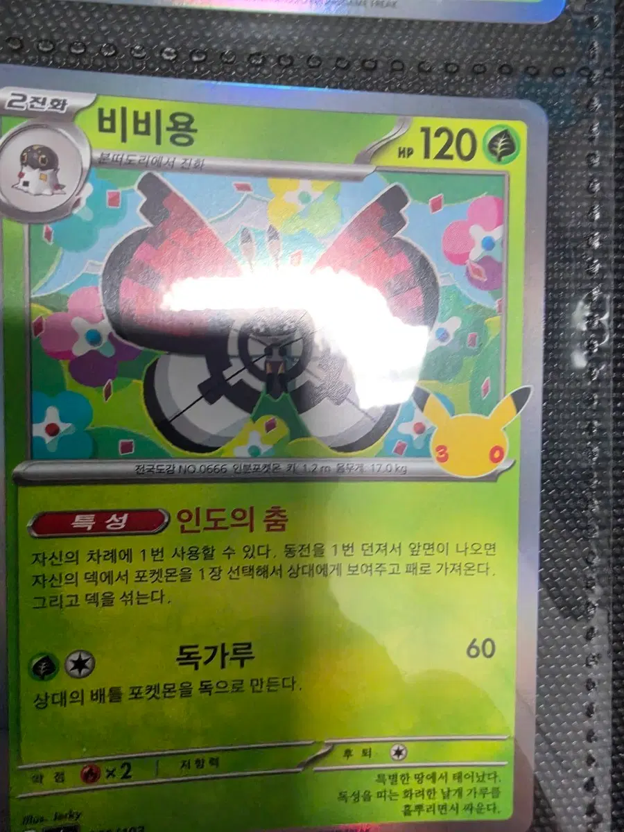 30주년 글판 비비용 005/103