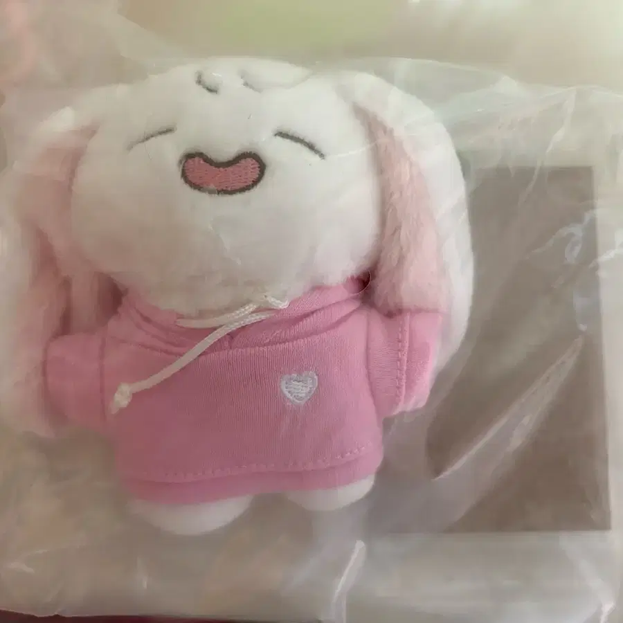 박보영 뽀유 후드 버전 인형 키링 판매 양도