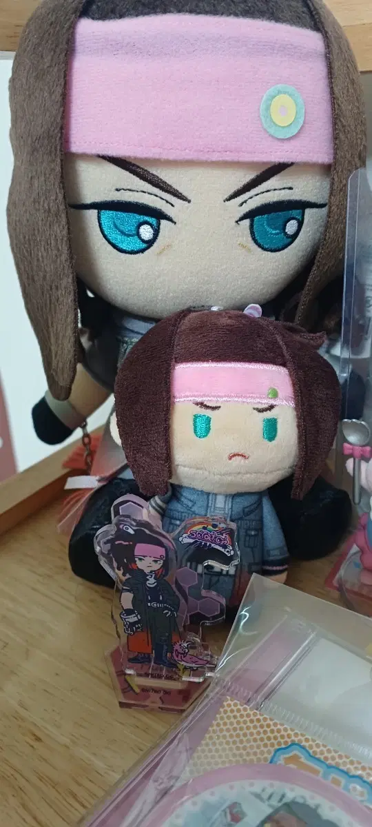 dmmd누이 (밍크)