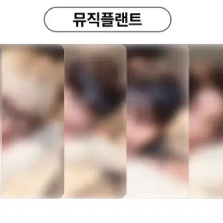 보넥도 뮤직플랜트 분철