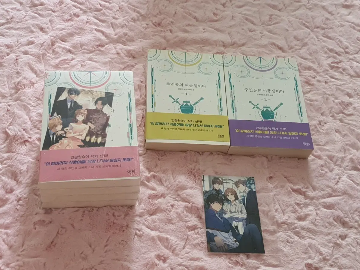 주인공의 여동생이다 1~6권