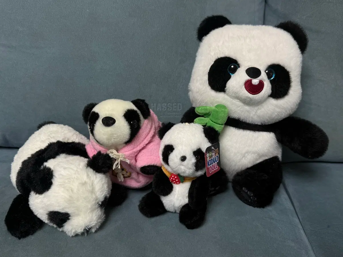 판다 인형 개당 3000원