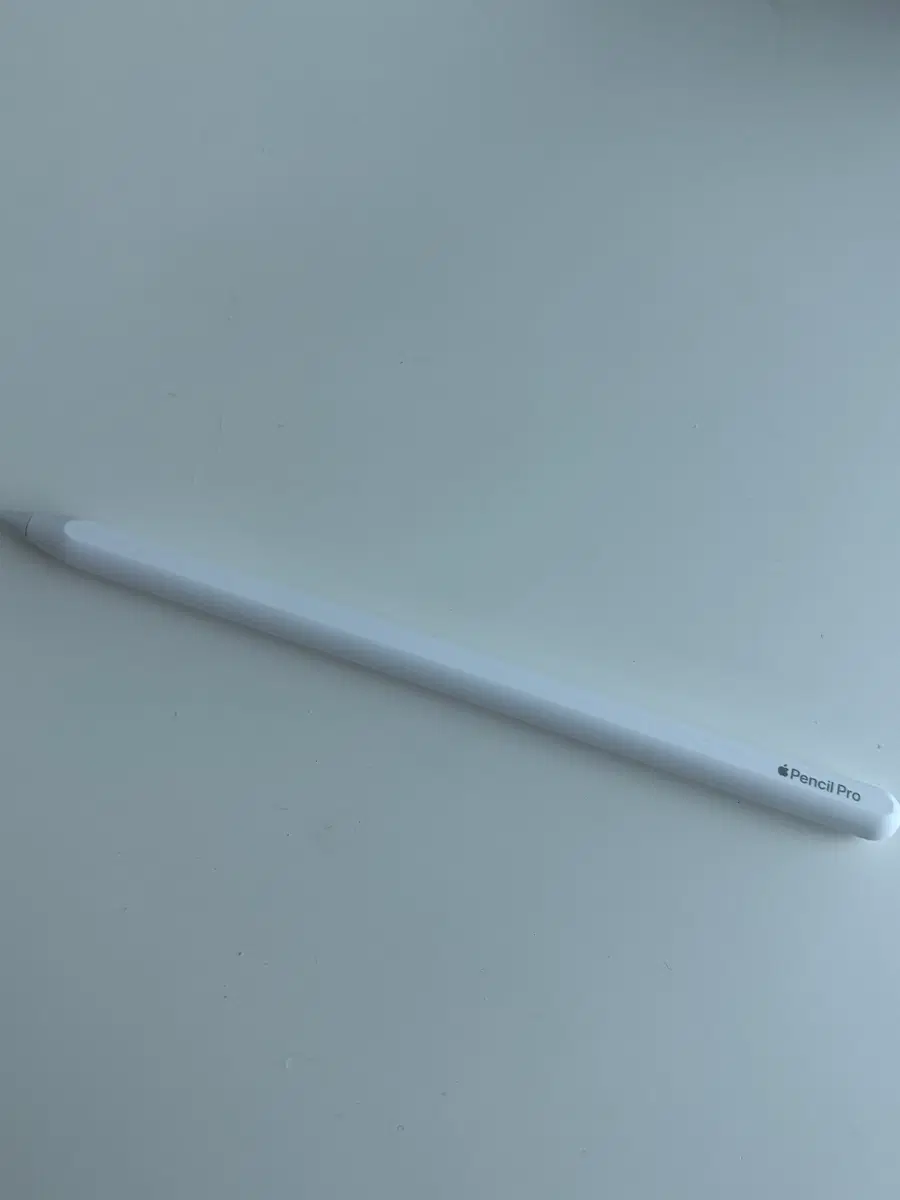 애플펜슬 프로