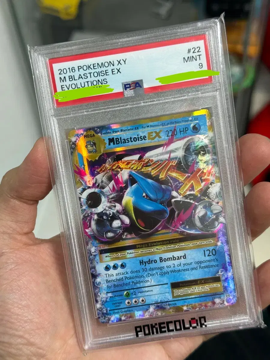 북미 XY 거북왕 PSA9