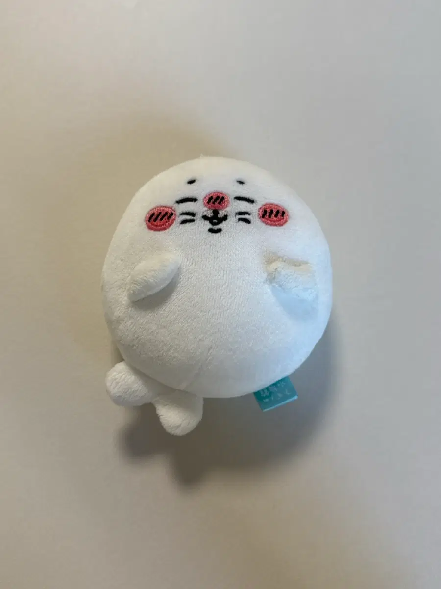 나가노 수족관 물범 마스코트 키링