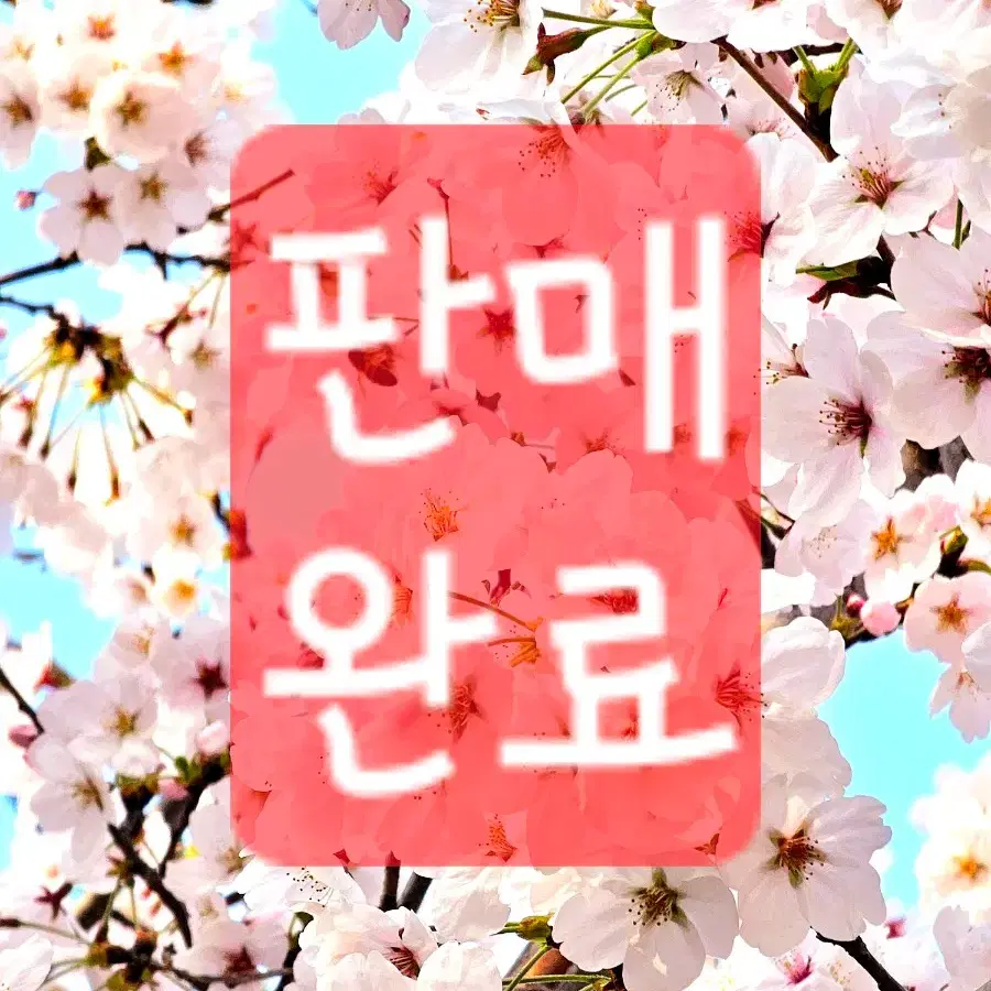 미개봉) 브랜든 헬로키티 한정판 월렛백