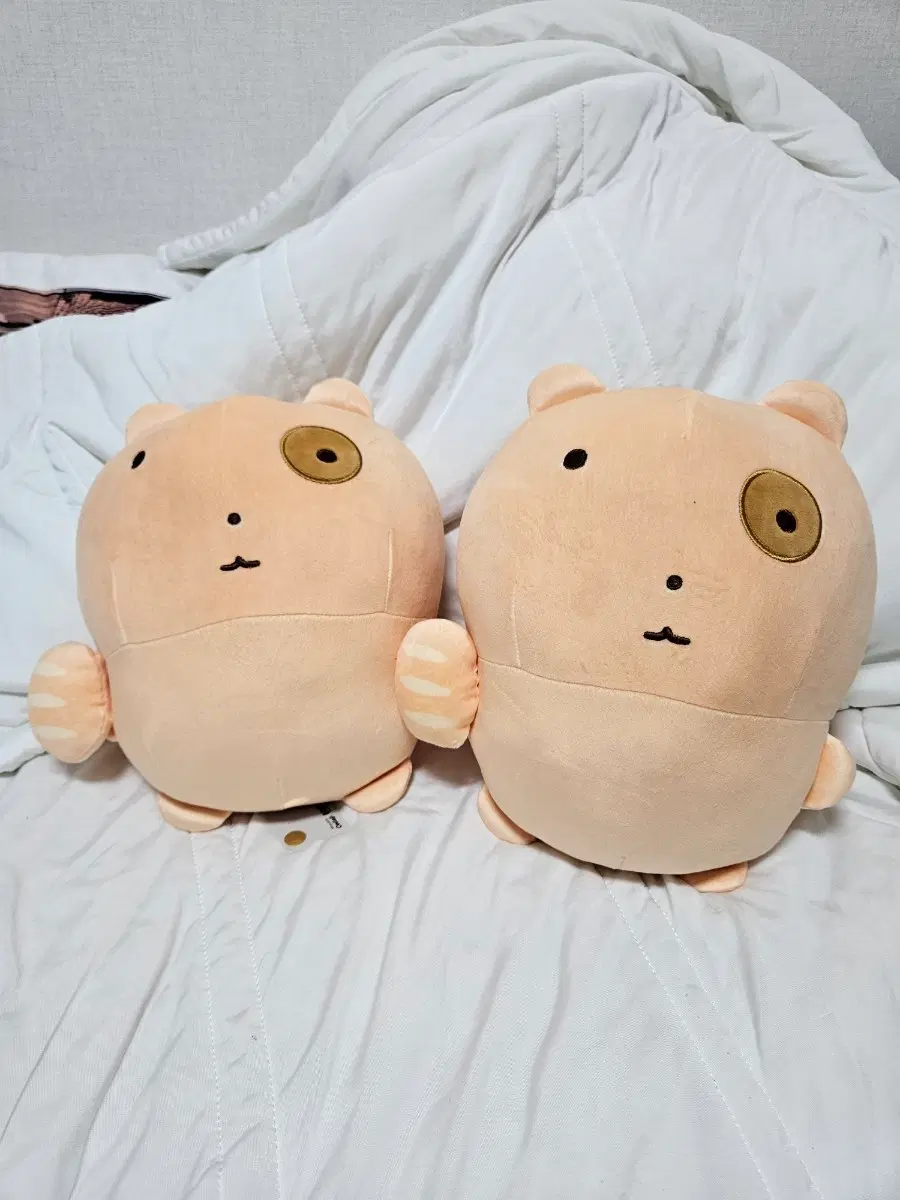 새제품) 빵 눈멍냥이