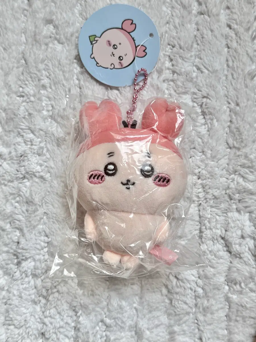 치이카와 카니 기본 마스코트