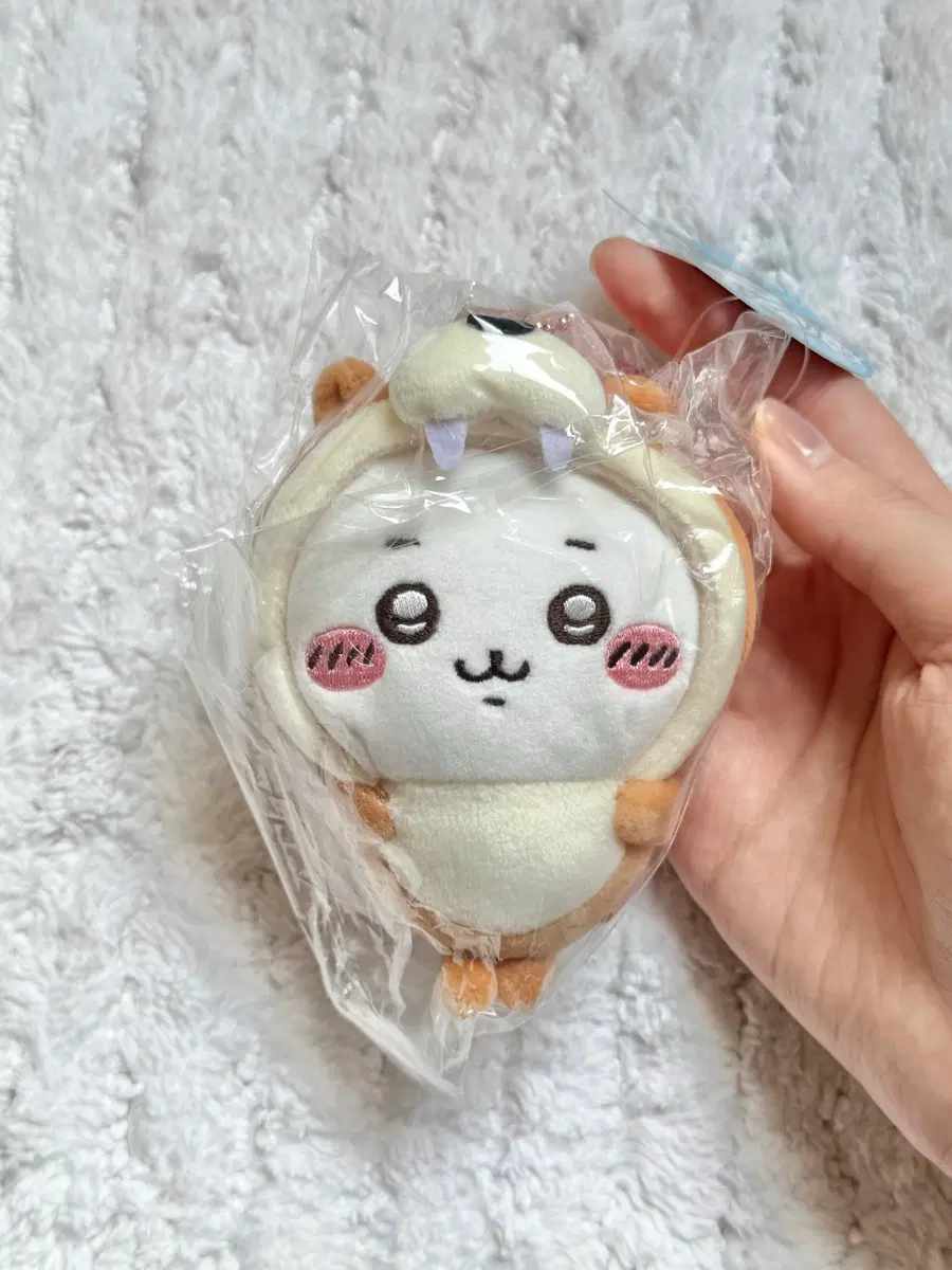 치이카와 수달 마스코트 수족관