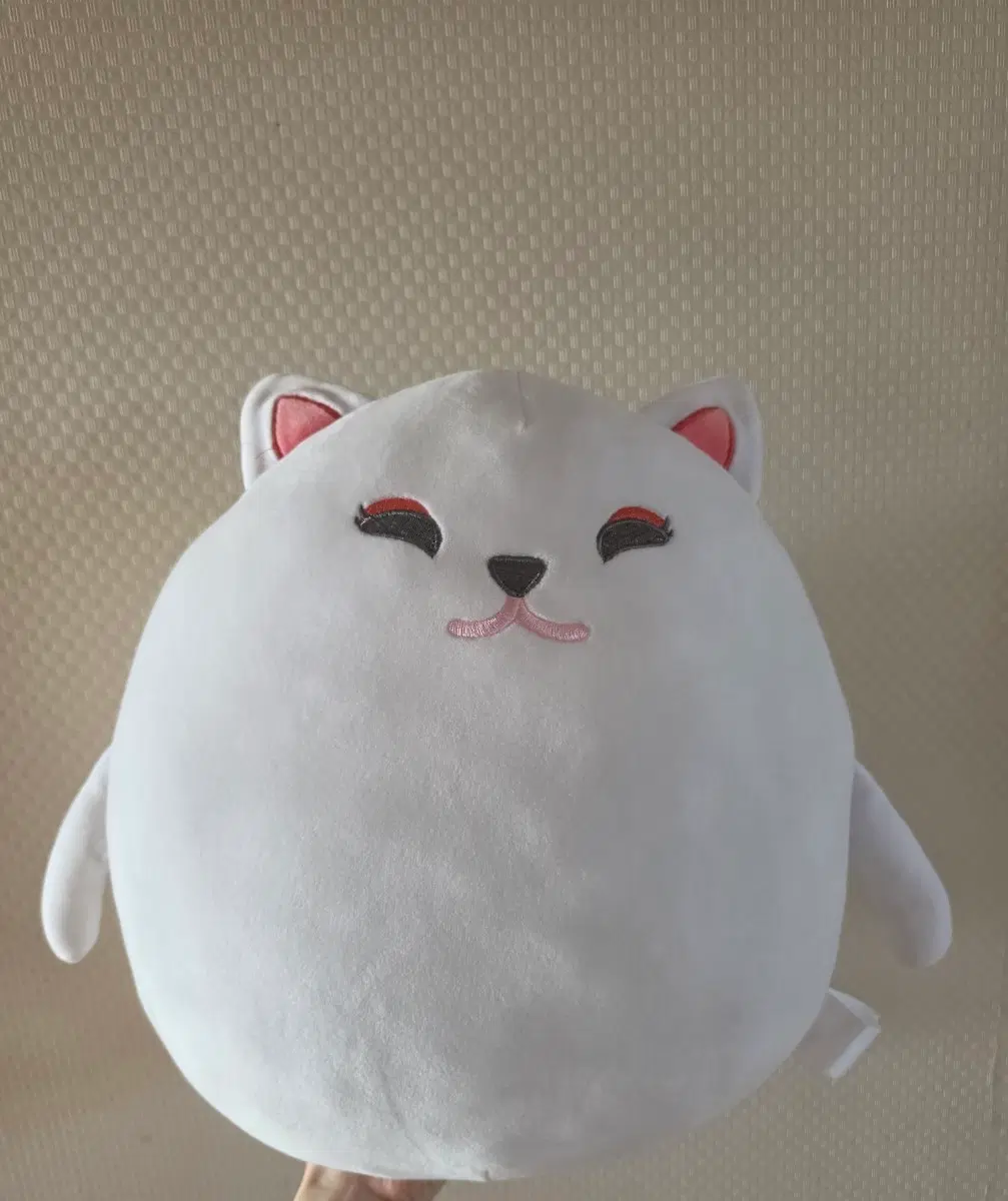 에뛰드 귀여운 고양이 인형