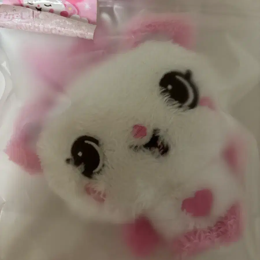 위시돌(급처!!)
