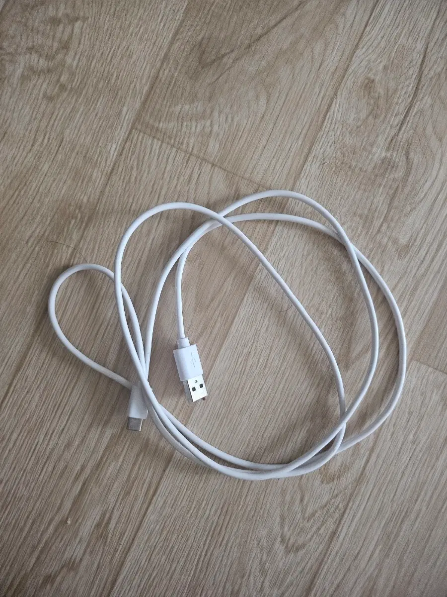 C타입 USB 케이블 화이트