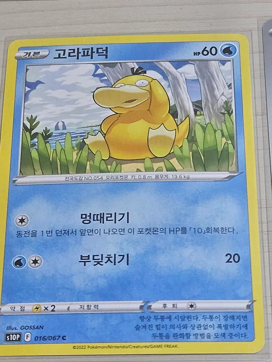 [최저가] 포켓몬카드 고라파덕 016/067 C