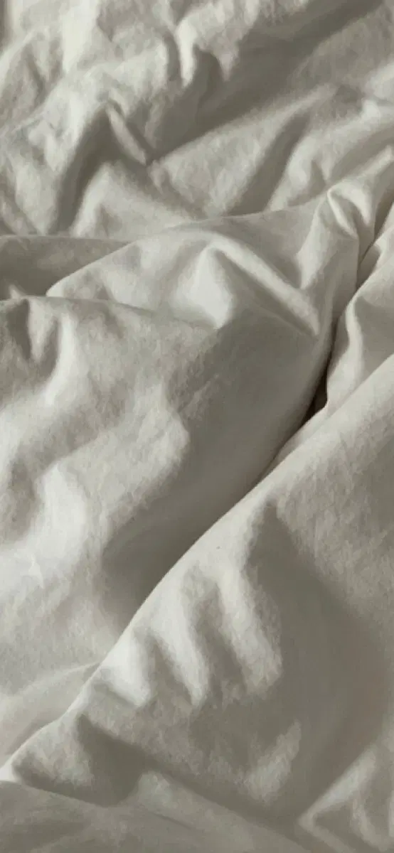 의류