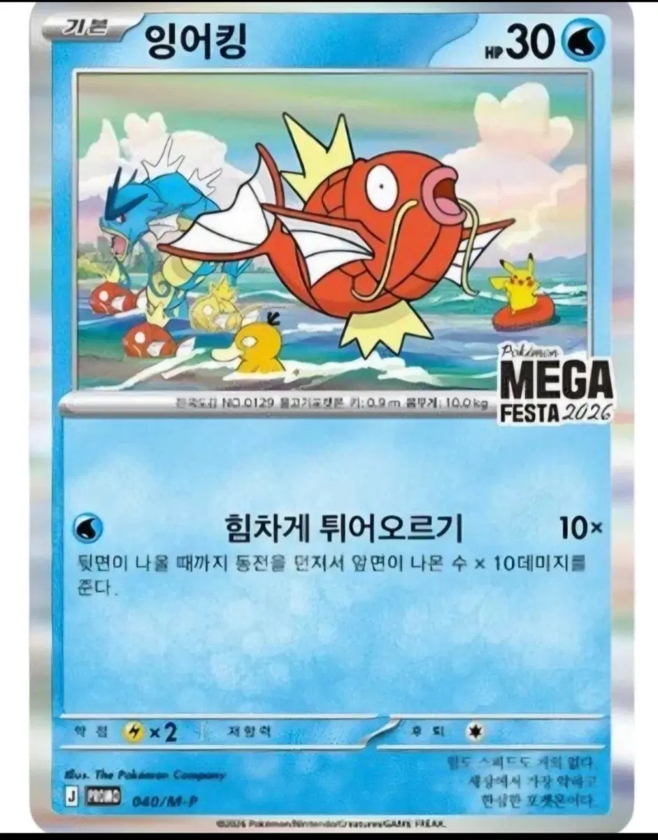 [삽니다] 포켓몬 잉어킹 프로모 카드 4만원에 무한 매입합니다