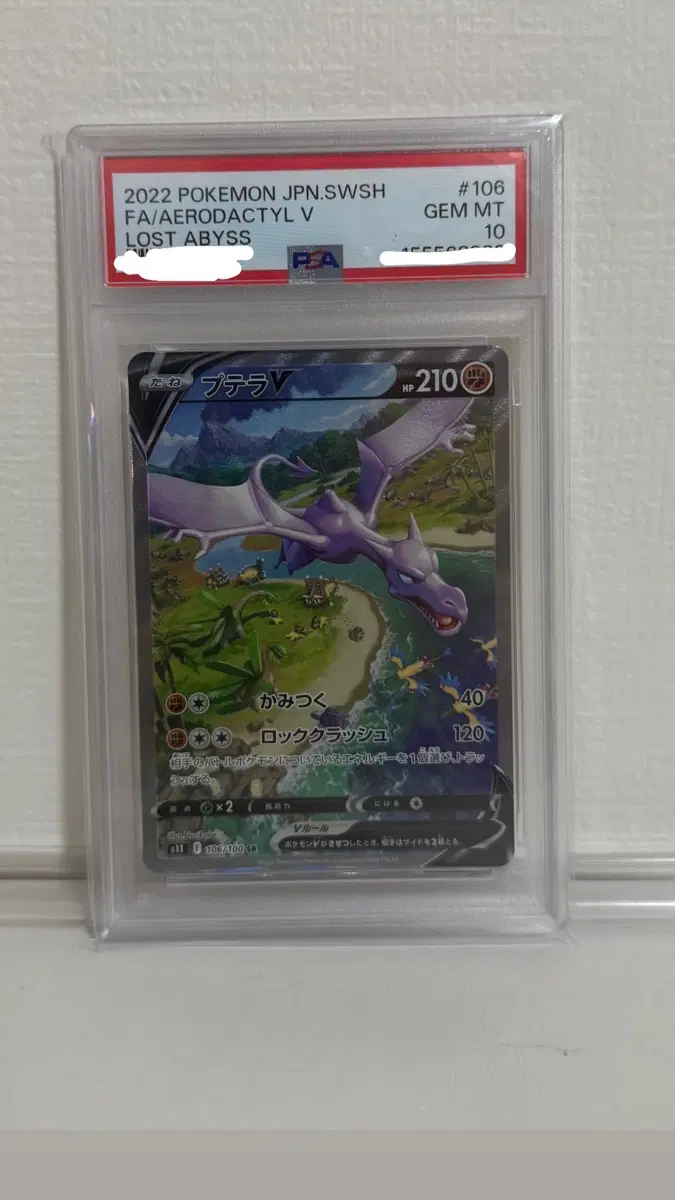 프테라 V SR 일어판 psa10