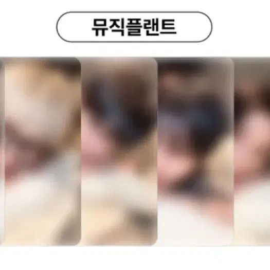 보이넥스트도어 분철