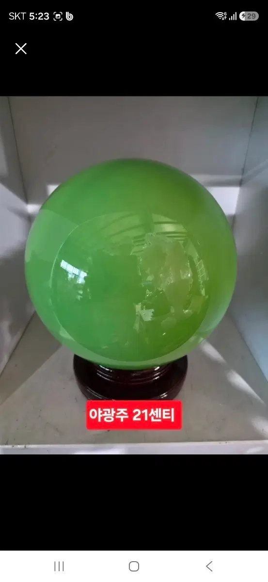 야광주 21센티