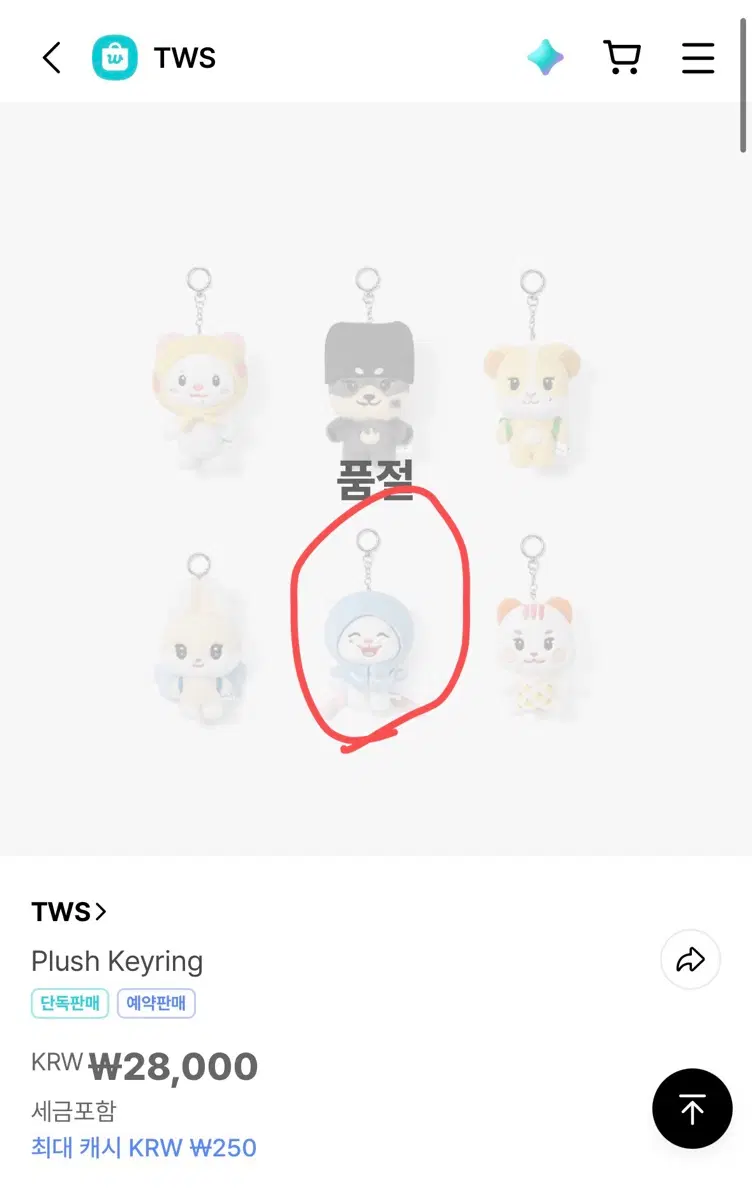 (구해요) 투어스 지훈(햇피) 플러시 키링 대리구매 해주실 분(팝업) 구해요