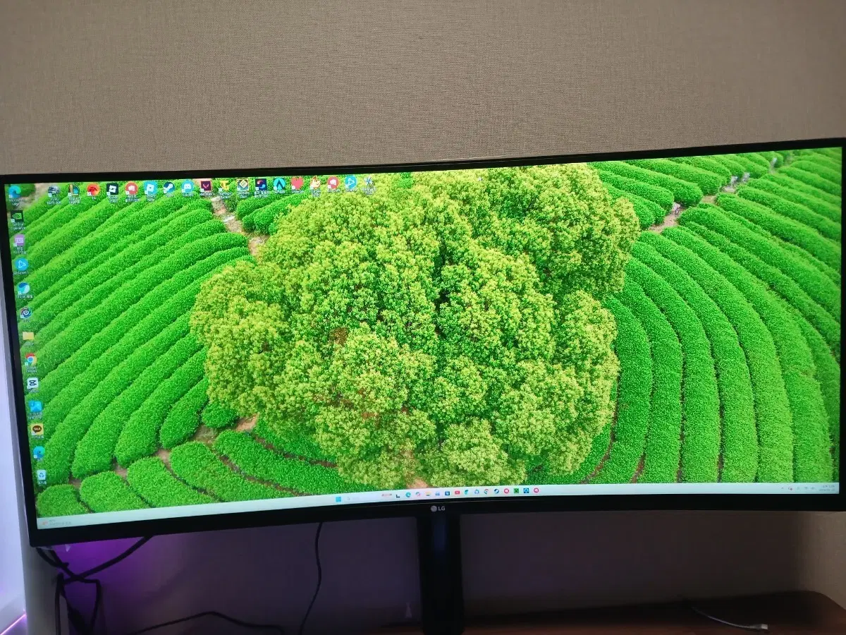 LG 울트라와이드 모니터 34인치 35WN65C