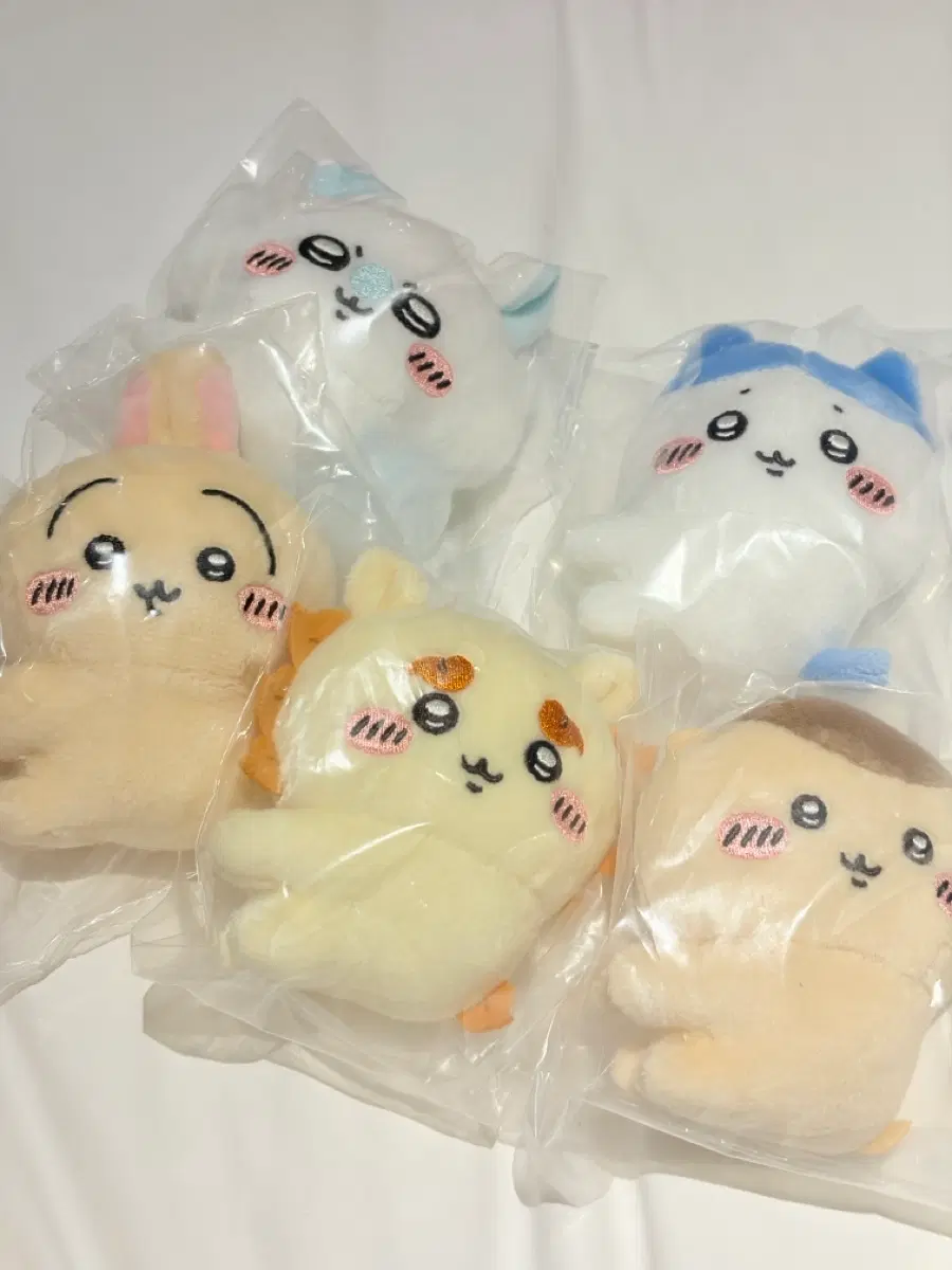 먼작귀 클립누이 일괄