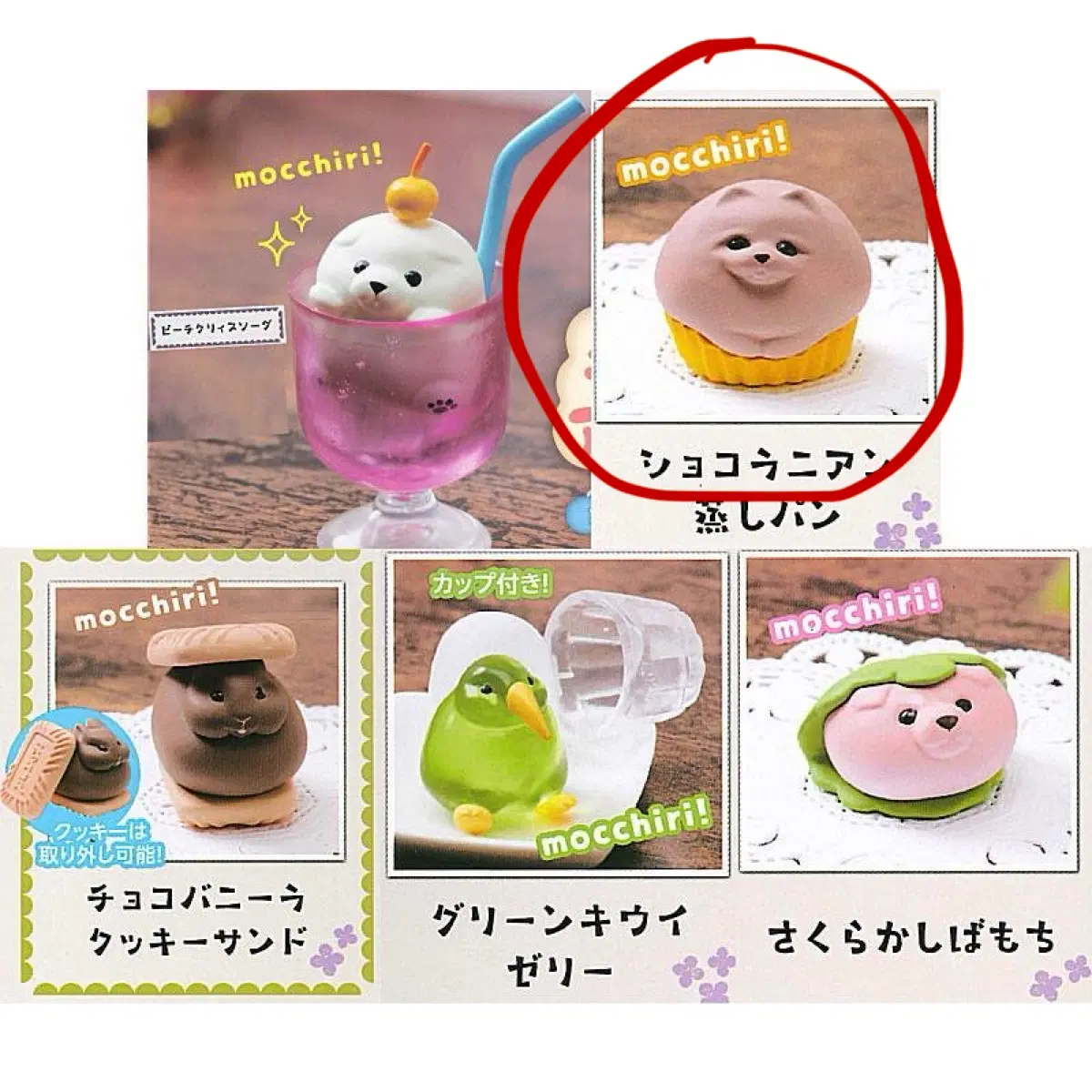 포메라니안 강아지 타르트 가챠