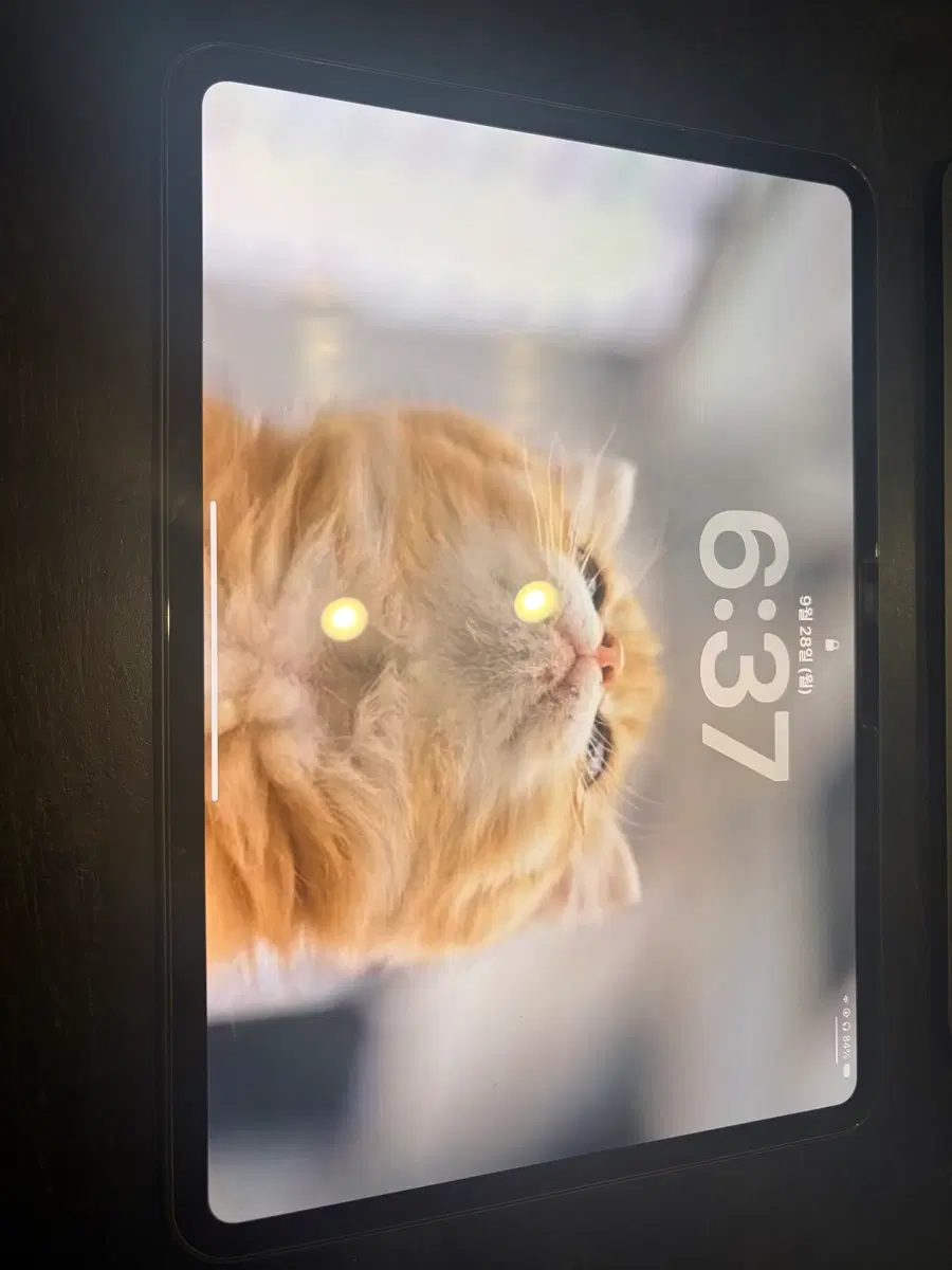아이패드 프로 m5 11인치 256 wifi + 매직키보드