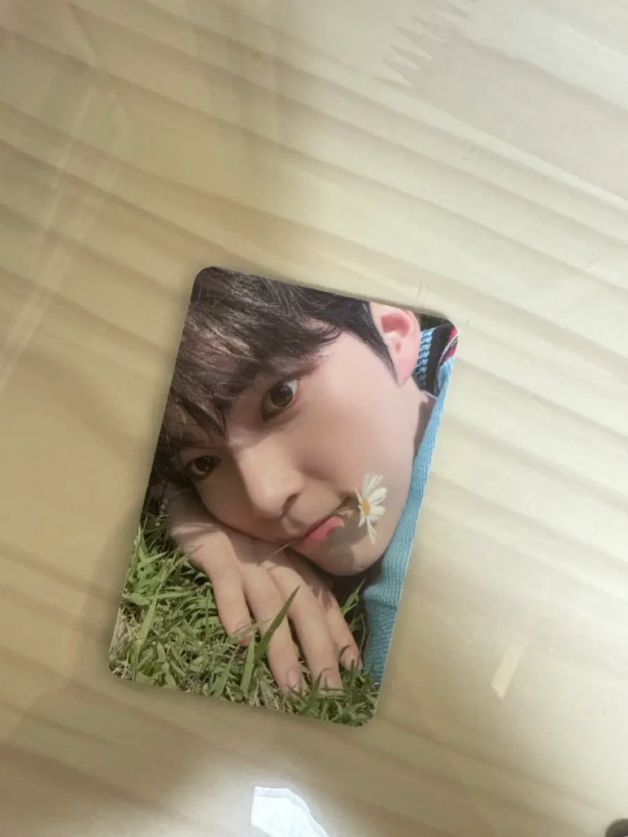 성한빈포카