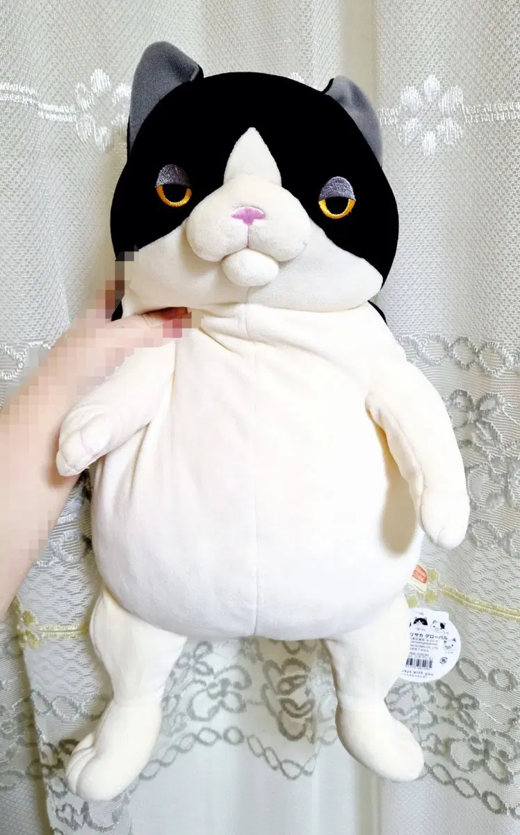 시나다 모리사카 글로벌 고양이 L 사이즈 모찌모찌 인형