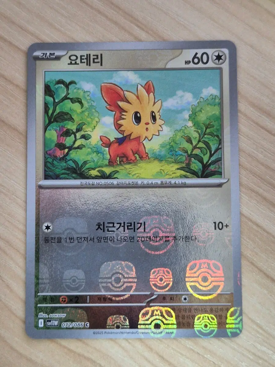 ㄱ. 포켓몬카드 요테리 마스터볼
