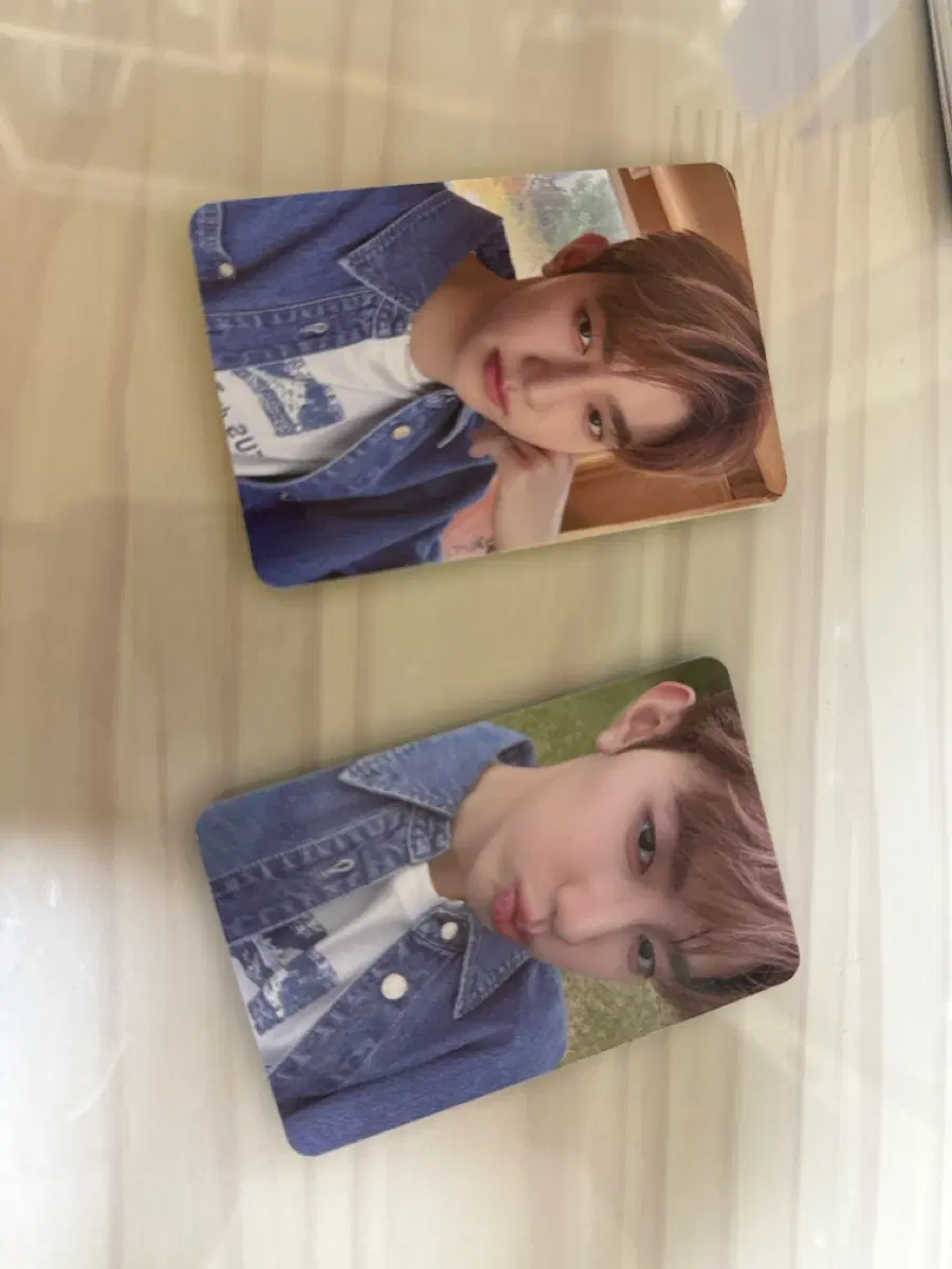 제로즈2기 장하오 포카