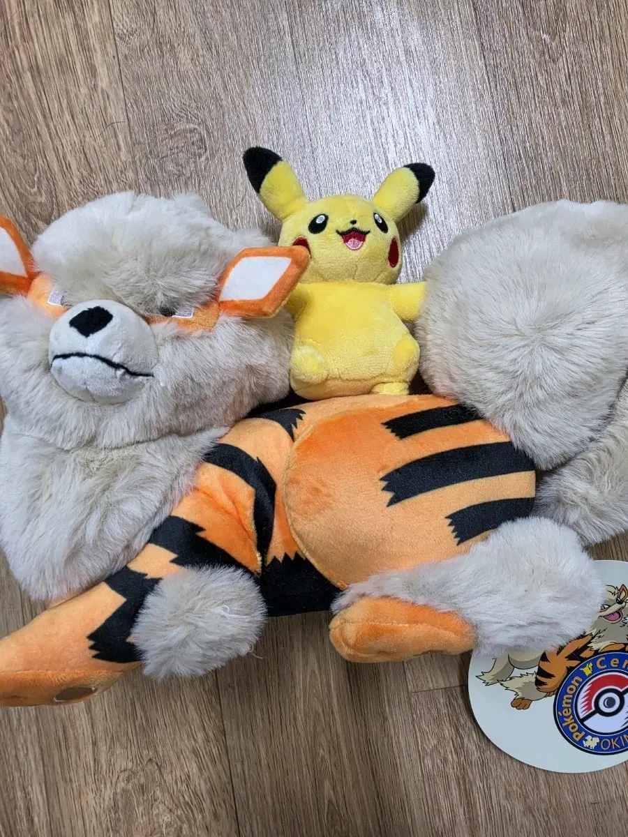 오키나와 포켓몬스터 한정 인형