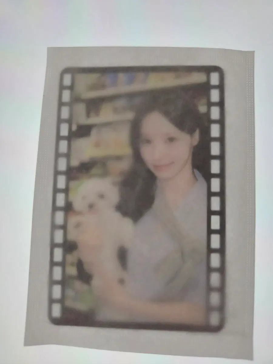 리센느 원이 별이 포카