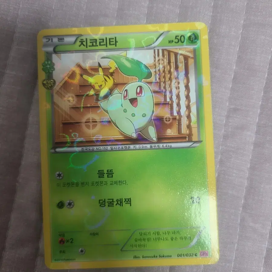 포켓몬카드 심쿵 치코리타