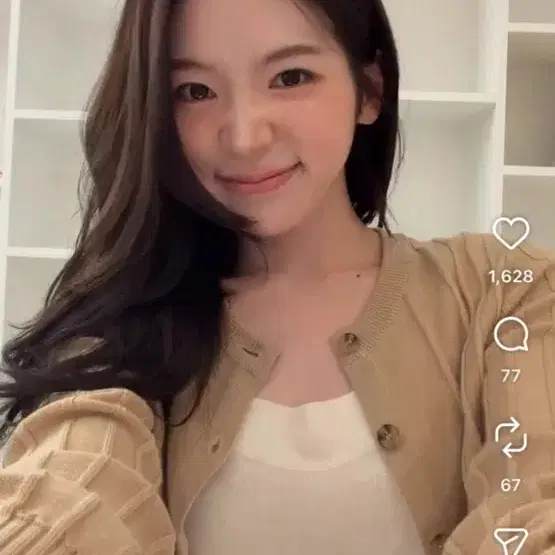 시에가디건