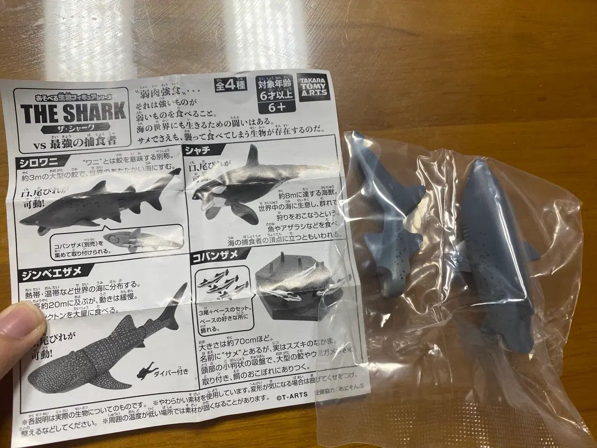 THE SHARK 피규어