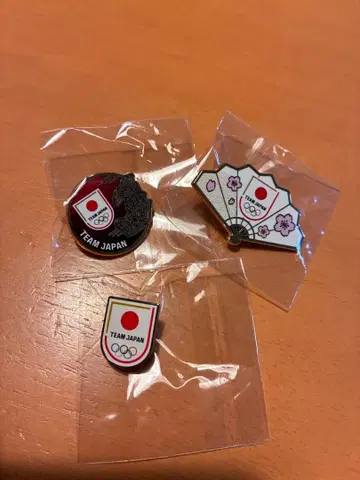 아시아 대회 나고야 TEAM JAPAN 핀 배지 3개