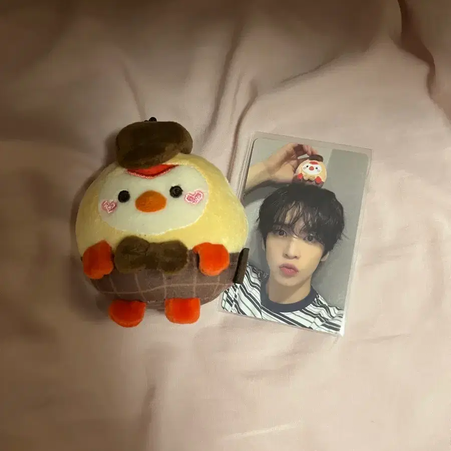 크래비티 탐정크크루 귄이 판매
