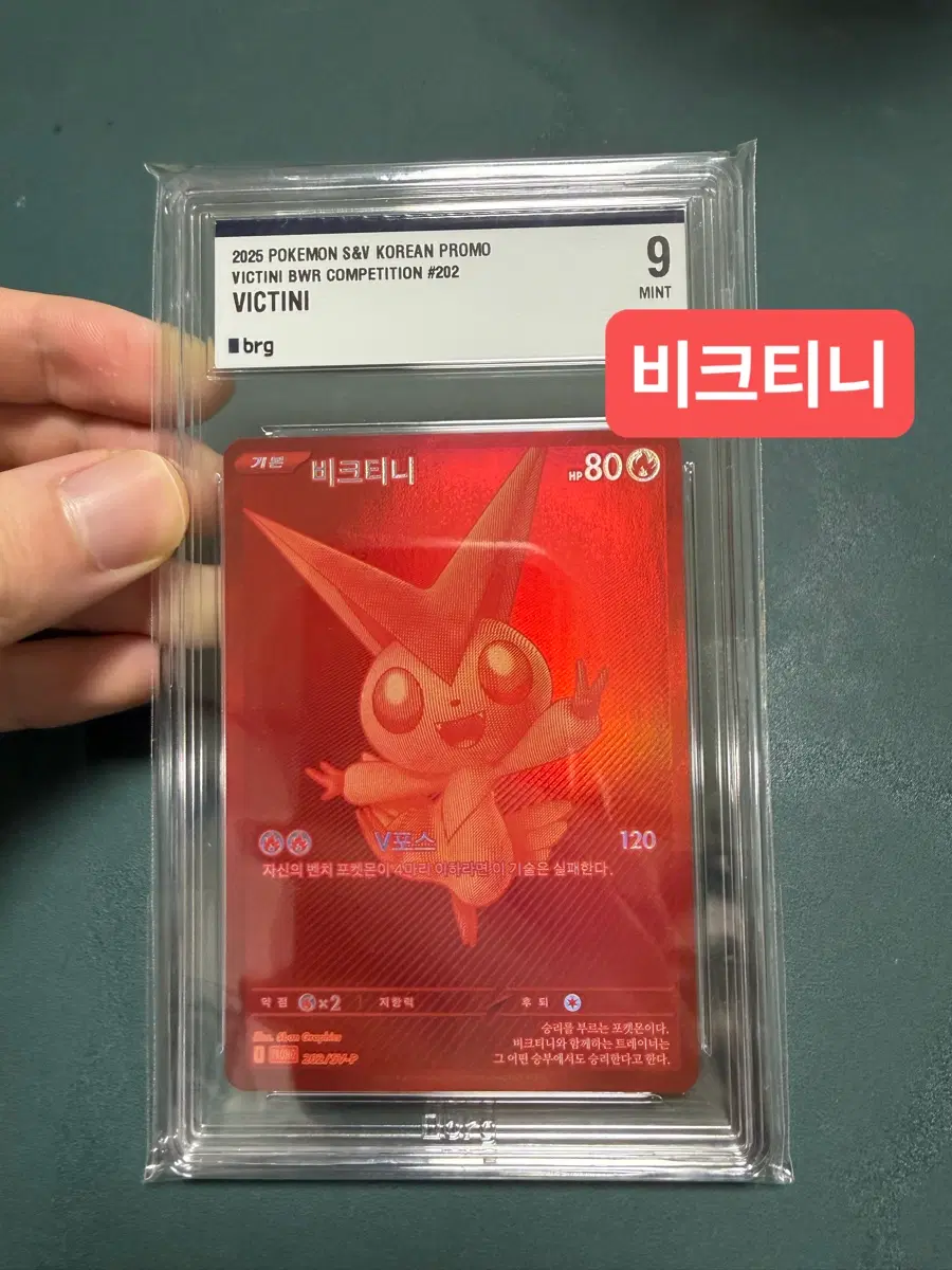 Bwr 비크티니 brg9 + 30주년 박스(슈링크o) + 서비스 30주년 띠부씰 피카츄