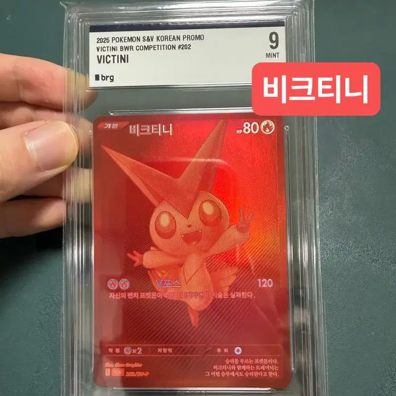 Bwr 비크티니 brg9 + 30주년 박스(슈링크o) + 서비스 30주년 띠부씰 피카츄