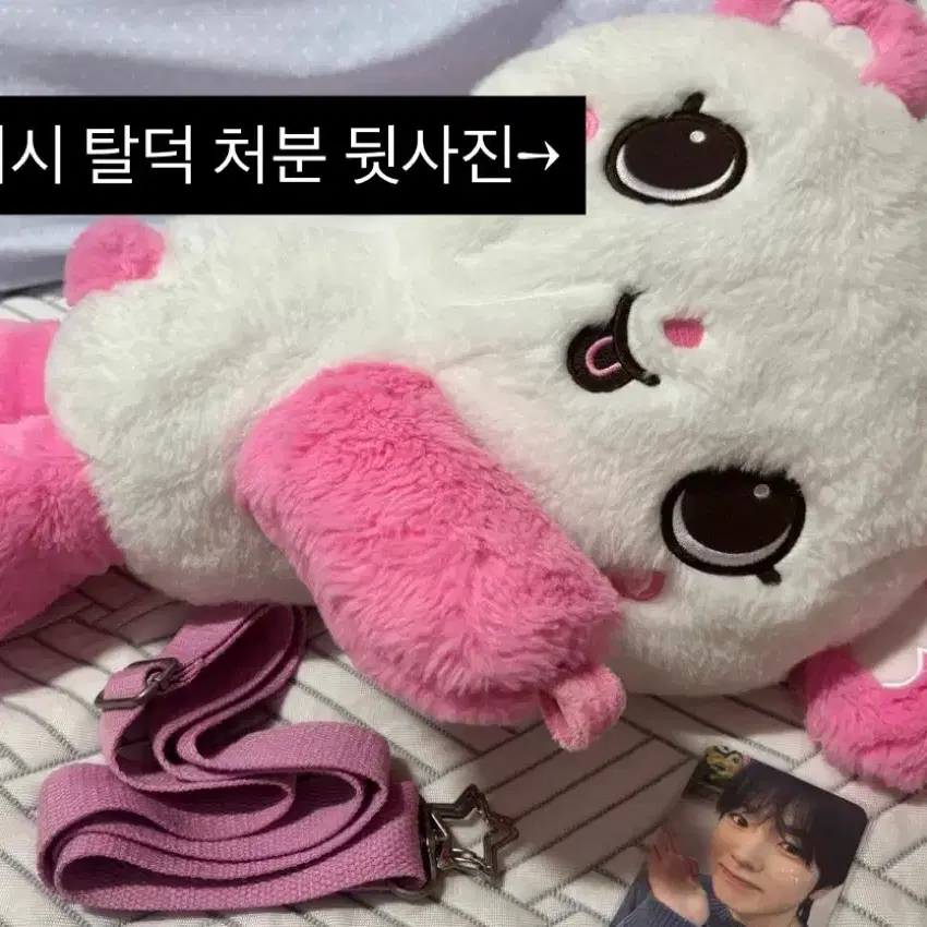 엔시티위시 탈덕 처분 사쿠야 유우시 리쿠 쿠리 팡이 일본 앨범 슬로건 쿠리 피규어 포토세트 팡이가방 위시 뱃지 키링
