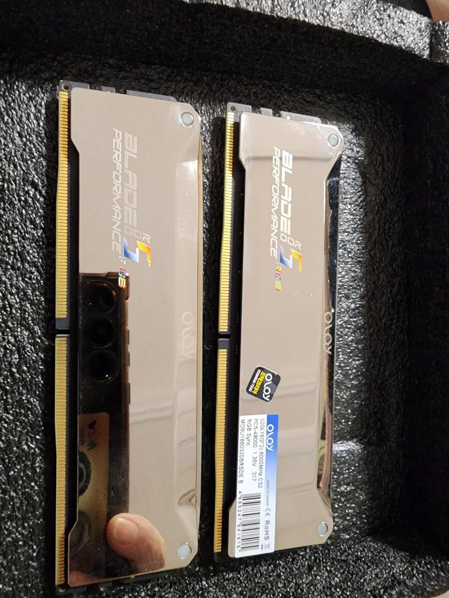 oloy ddr5 램,게일 ddr5 램,팀그룹 ddr5 램