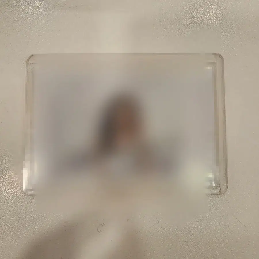 백지헌 사인폴라로이드 비타민미