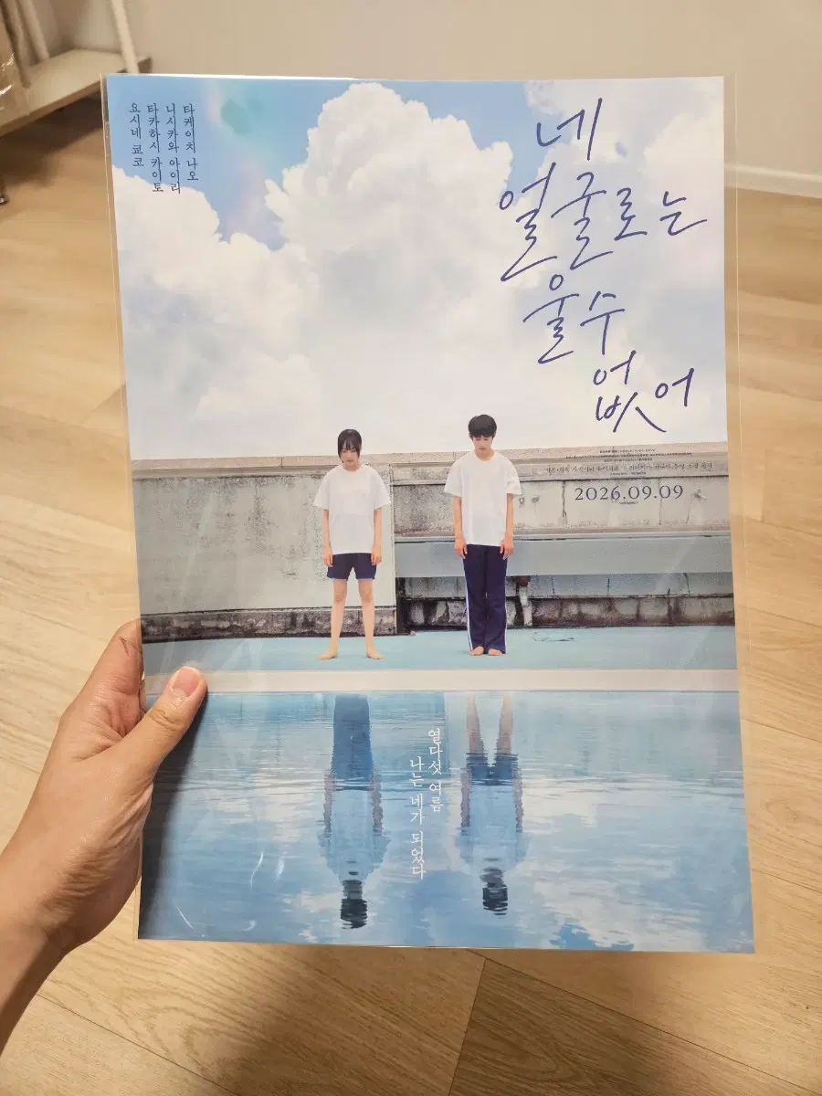 네 얼굴로는 울 수 없어 수영장 포스터