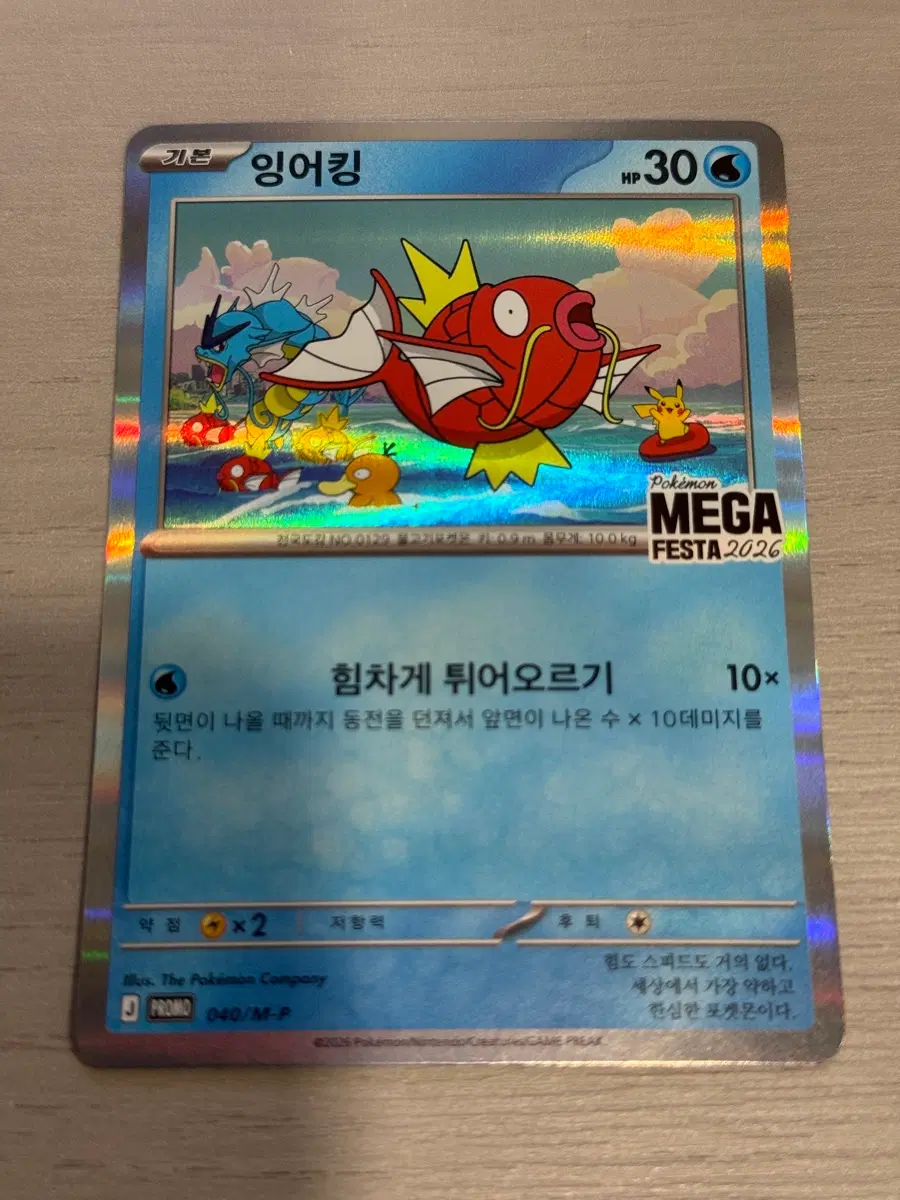 포켓몬 카드 잉어킹 프로모 개봉