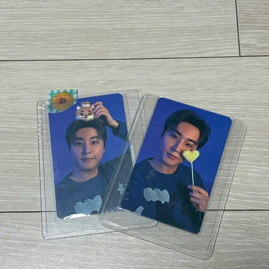 데이식스 클콘 엠디 포카 일괄 영케이