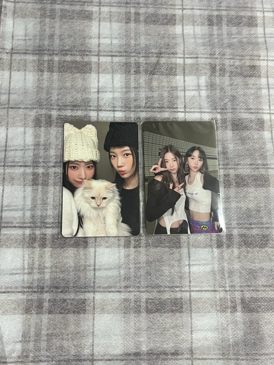 르세라핌 사쿠라 카즈하 김채원 포카 일괄