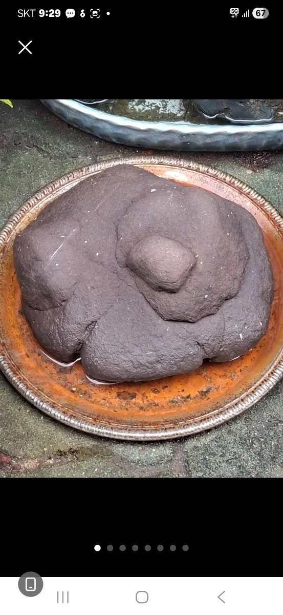 똥싼 모양 수석 색상팥색상 지름30센치정도