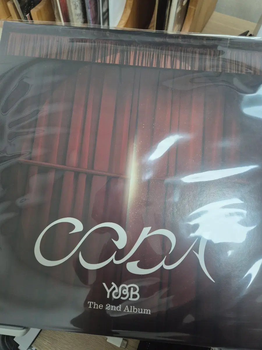 유다빈밴드 2집 coda LP